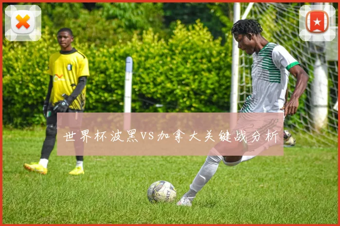 世界杯波黑vs加拿大关键战分析