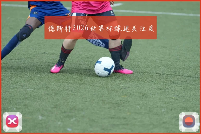 德斯特2026世界杯球迷关注度
