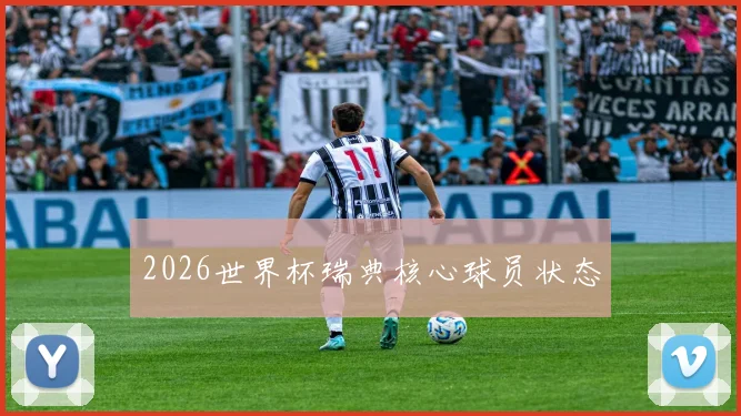 2026世界杯瑞典核心球员状态